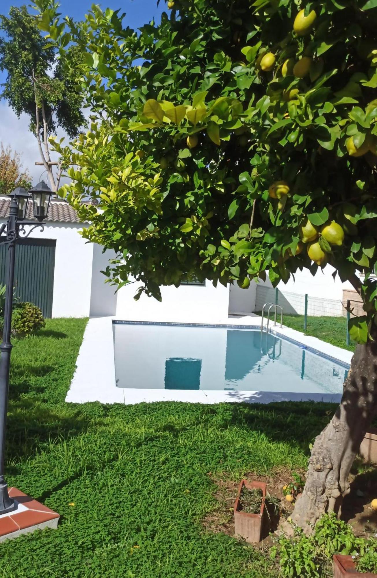 Casa Turquesa Villa Valencina de la Concepción Dış mekan fotoğraf